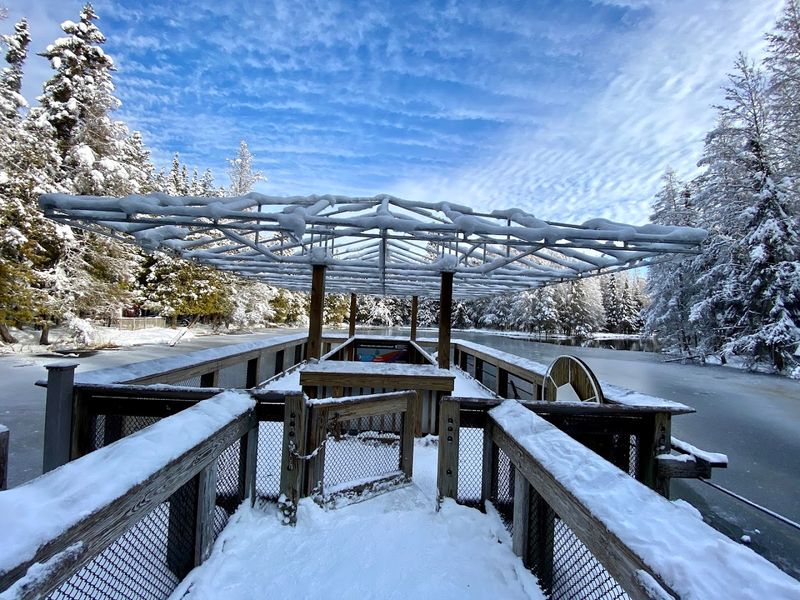 Seasonal Stillness In Winter