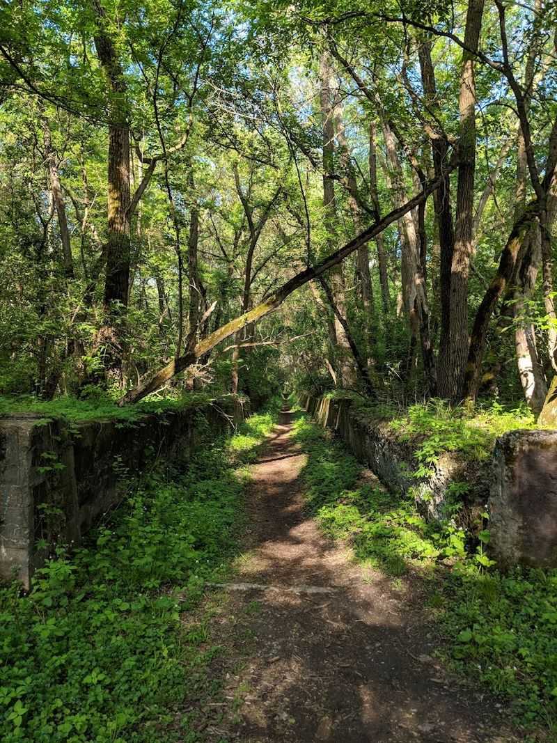 Sylvan Island, Moline