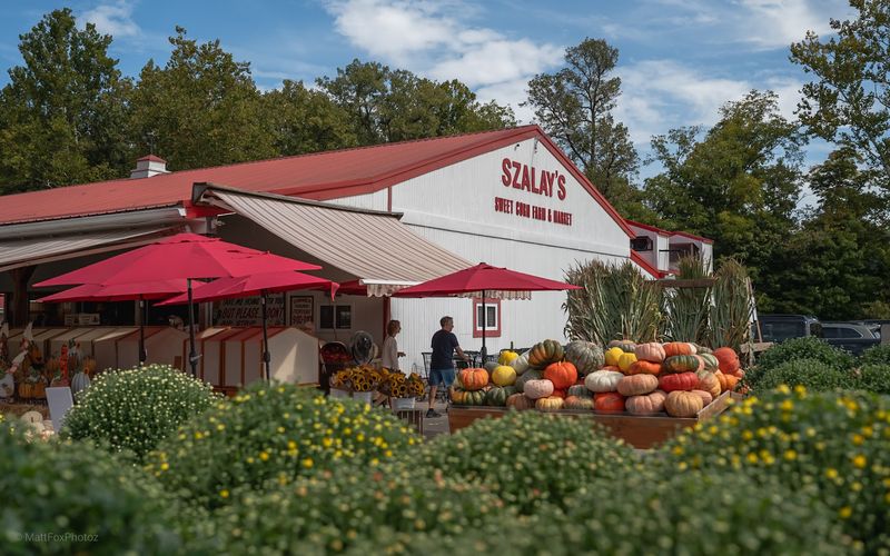 Szalay's Farm & Market, Peninsula