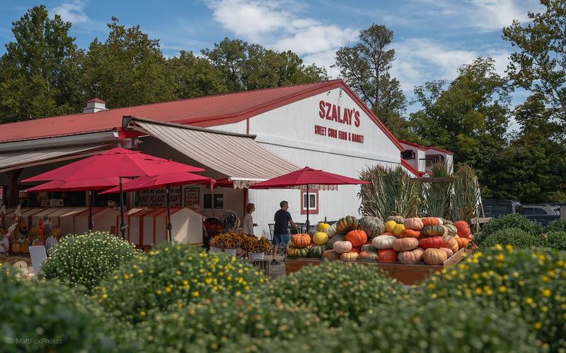 Szalay's Farm & Market, Peninsula