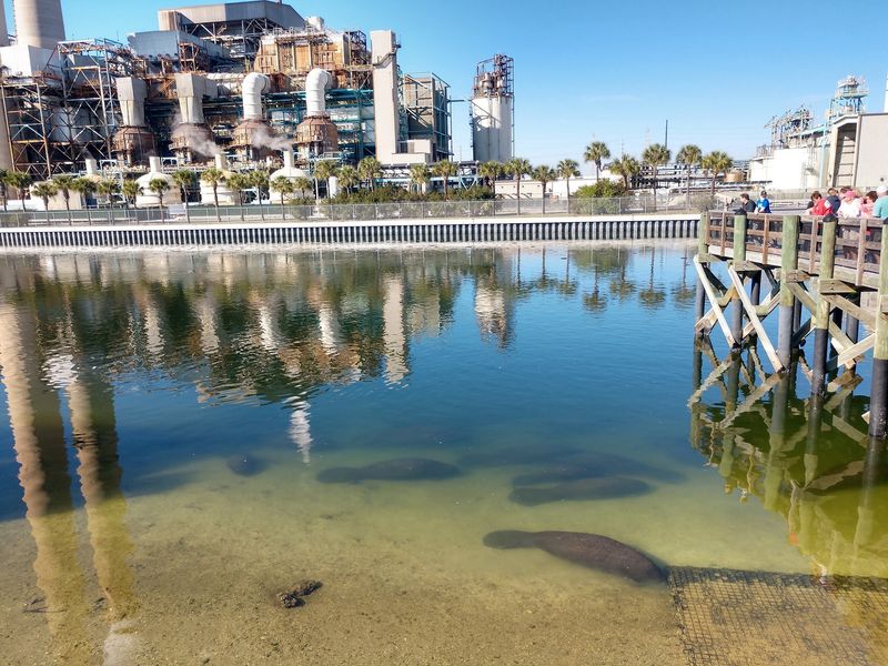 TECO Manatee Viewing Center