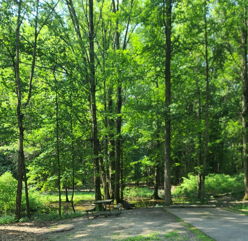 TRAILS BUILT FOR EASY ADVENTURES