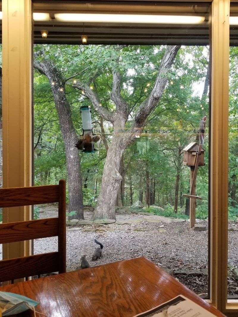 Butterfly Garden Beyond The Windows