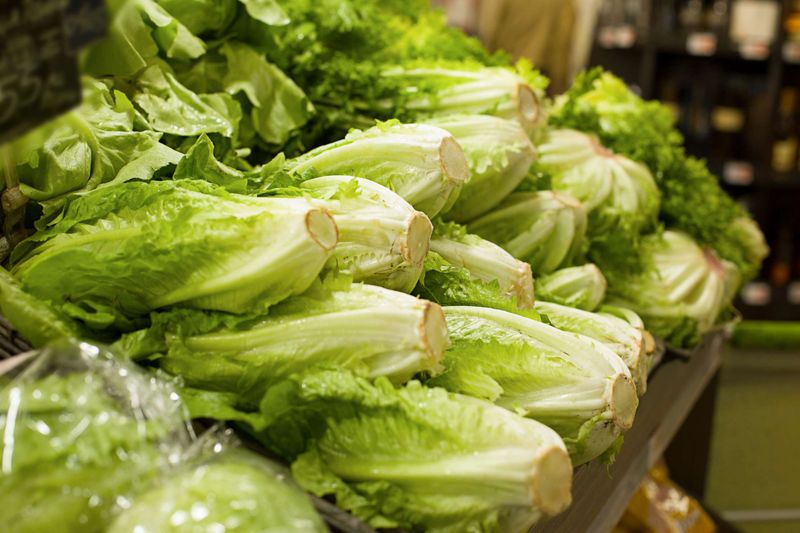 The Great Romaine Scare (2017-2018)