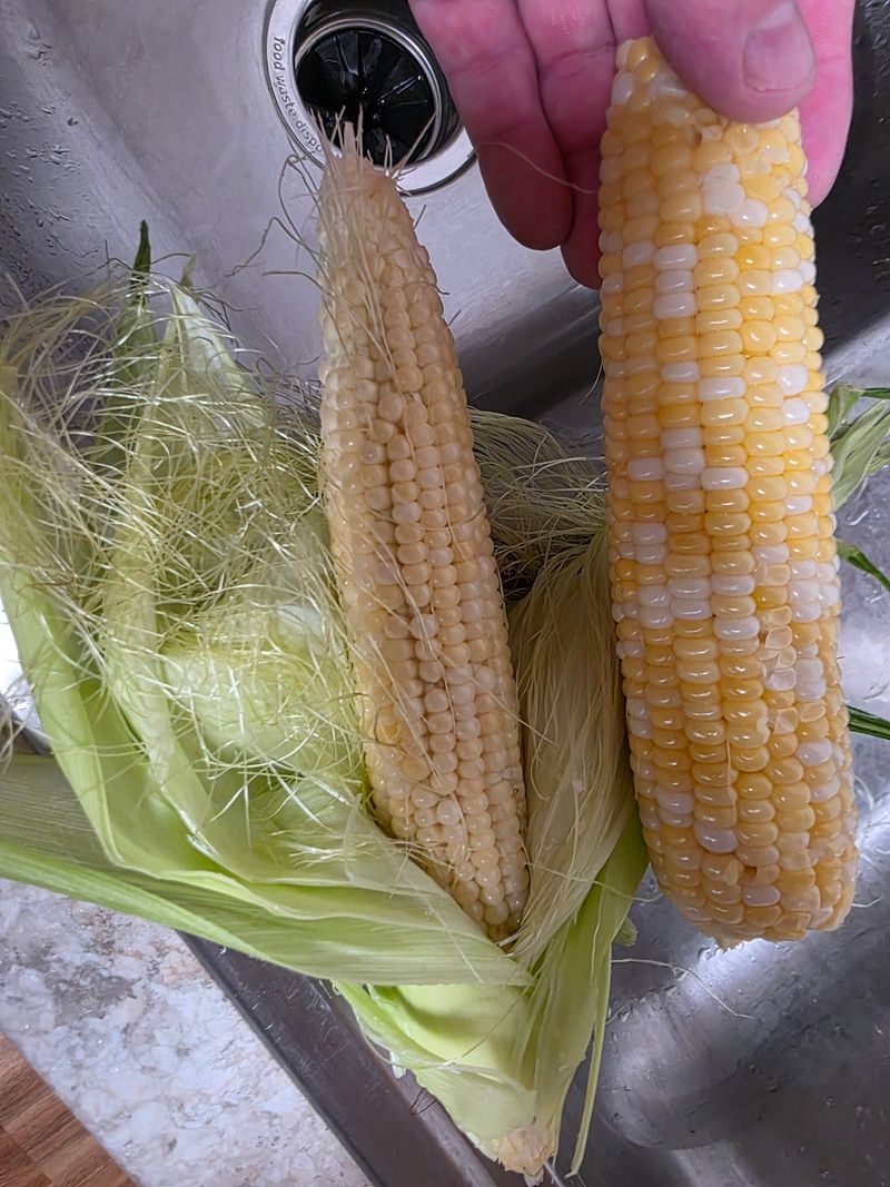 Iowa Sweet Corn On The Cob