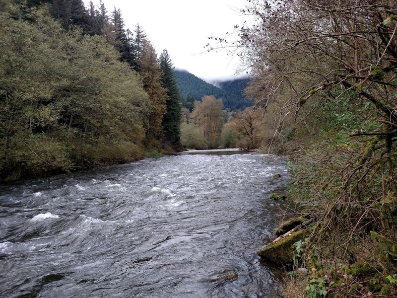Tacoma Water And The Road Closure