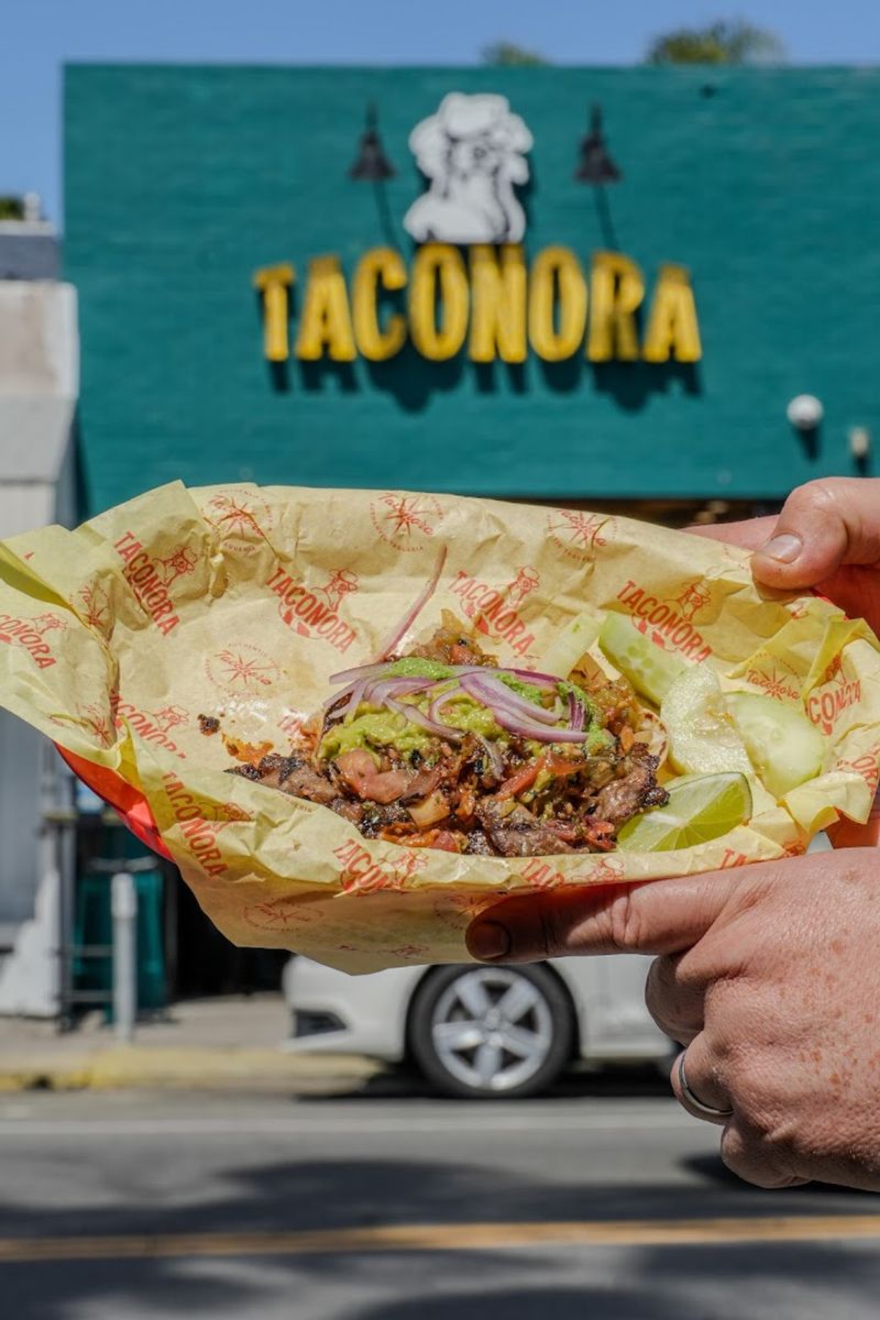 Taconora Taconora