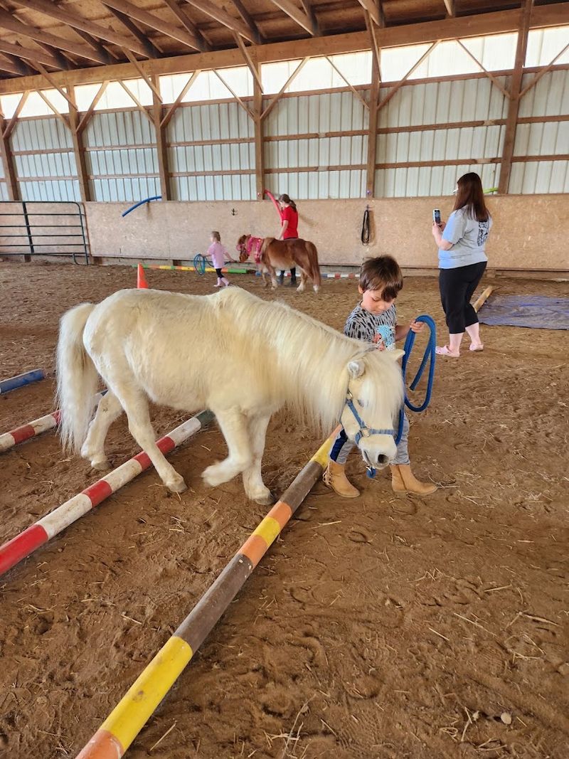 Tails And Trails Farm