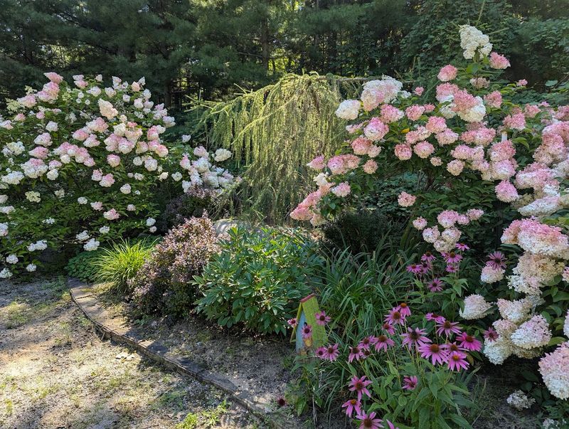 Take A Few Minutes To Walk The Garden