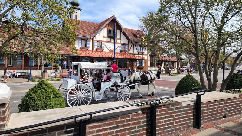 Take A Horse-Drawn Carriage Through Downtown