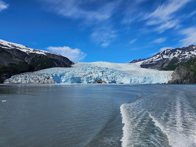 Take A Kenai Fjords Glacier And Wildlife Cruise