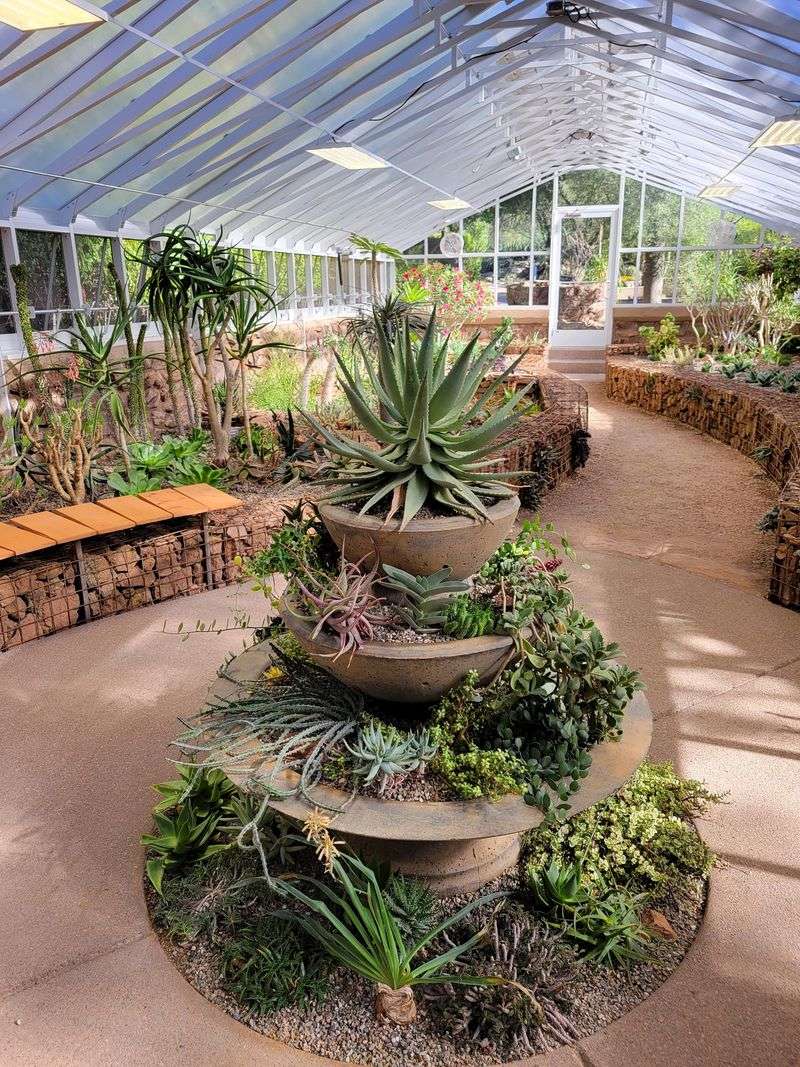 Take A Little Desert Home From The Gift Shop