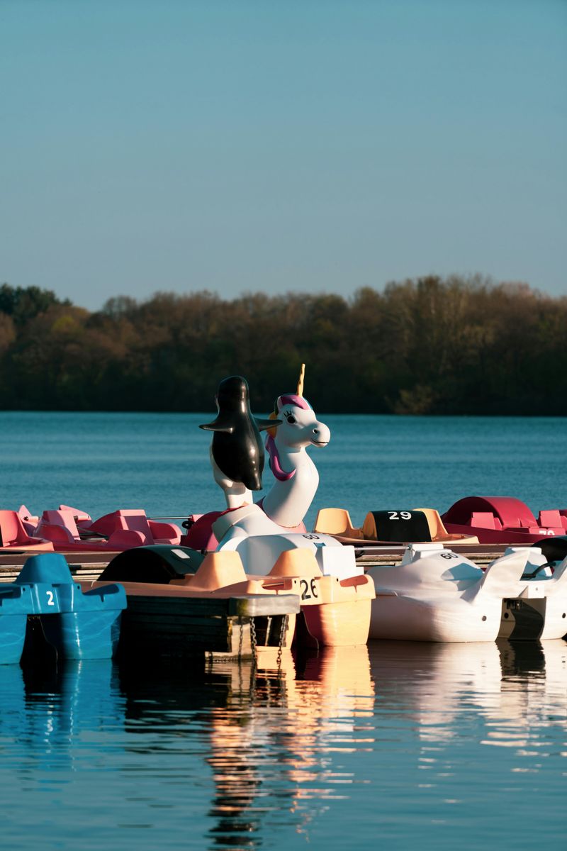 Rent A Pedal Boat Or Stroll Tempe Town Lake