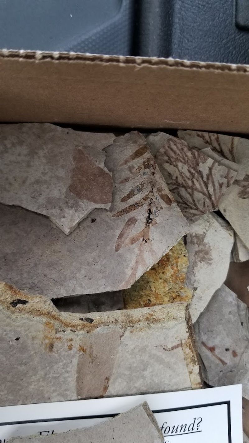Take-Home Fossil Bags When The Quarry Is Closed