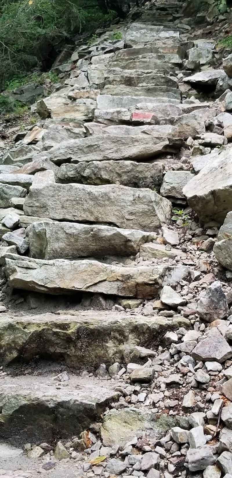 The Real Step Count Might Surprise You