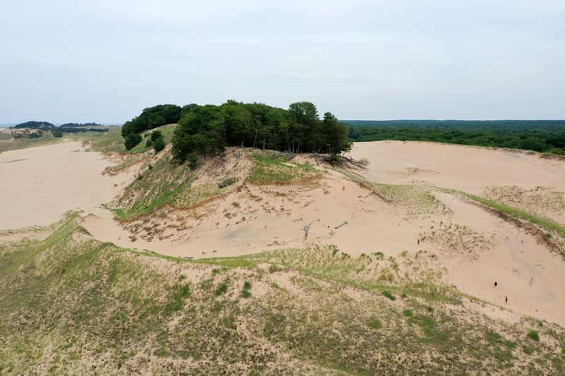 Take The Dunes Seriously, Even When They Look Playful