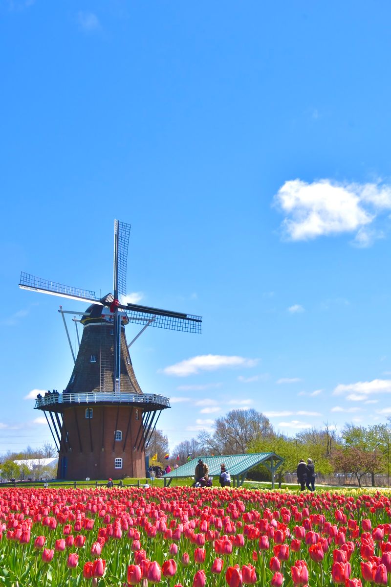 Take The Short Trip To Windmill Island