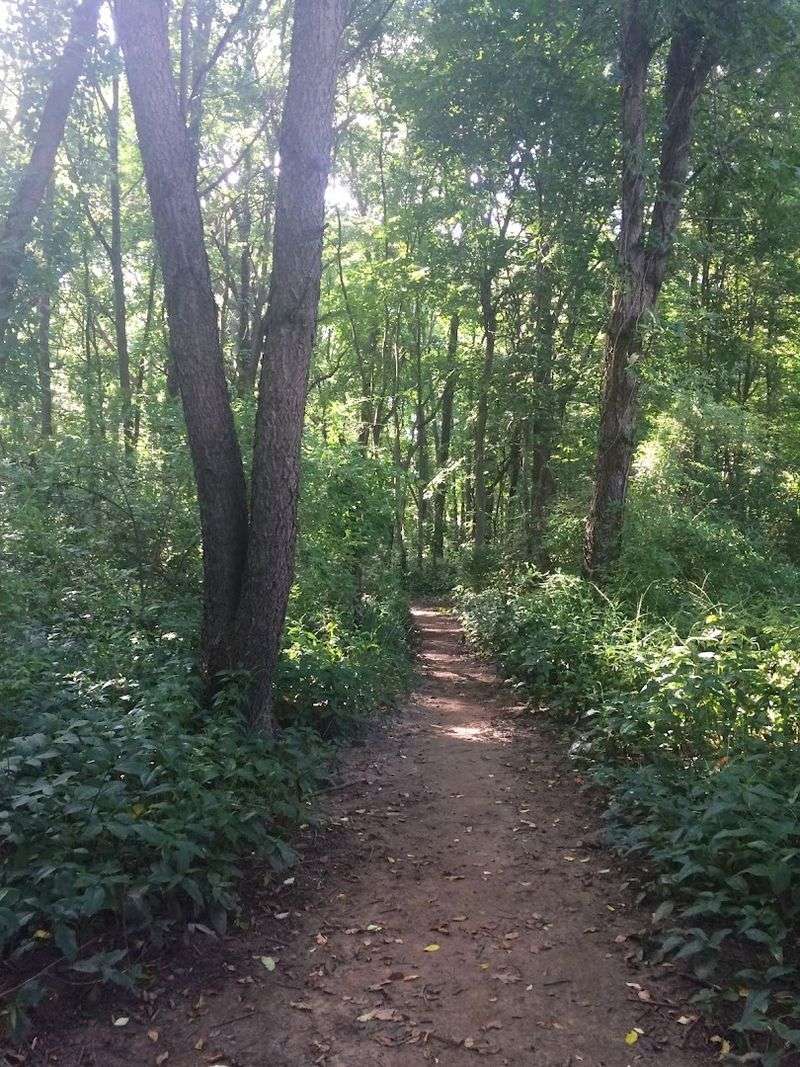 Take The Trails When The Beach Gets Busy