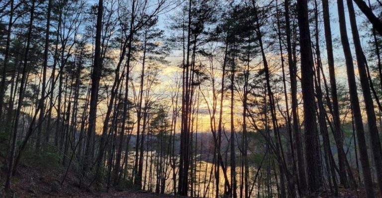 Take This Short South Carolina Hike To Discover An Under-The-Radar Natural Wonder