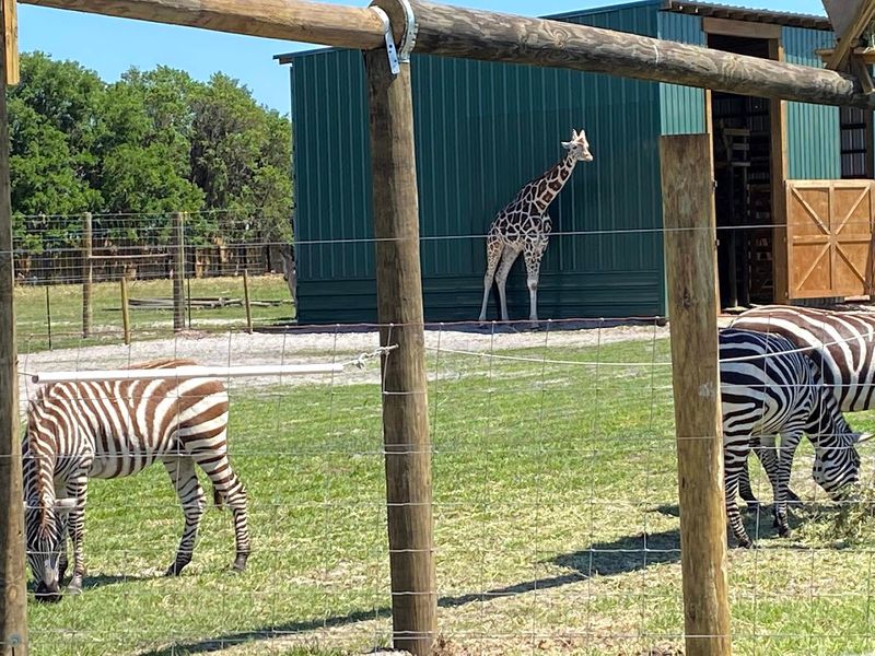 Access Multiple Attractions With One Ticket