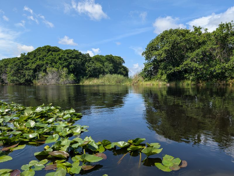 Experience The Nighttime Everglades