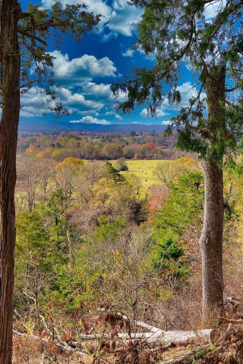 Talimena National Scenic Byway Pull-Off Views