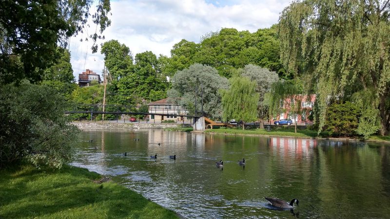 Talleyrand Park By The Water
