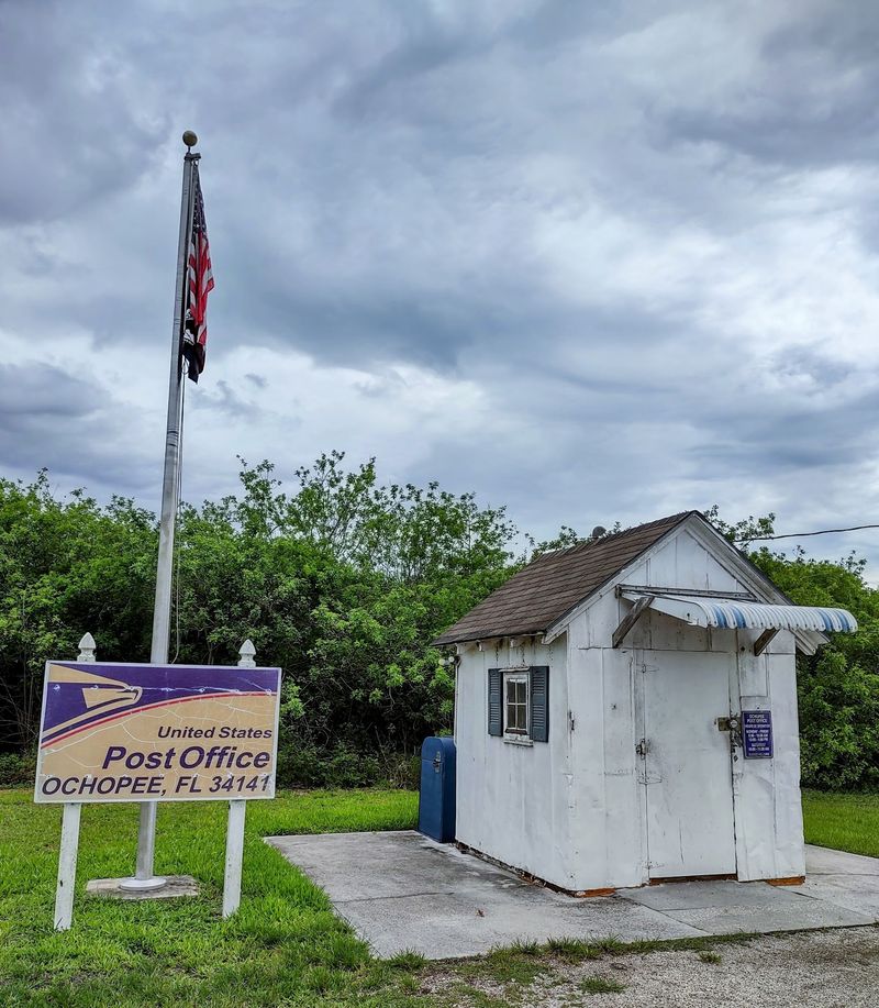 Tamiami Trail - The Everglades