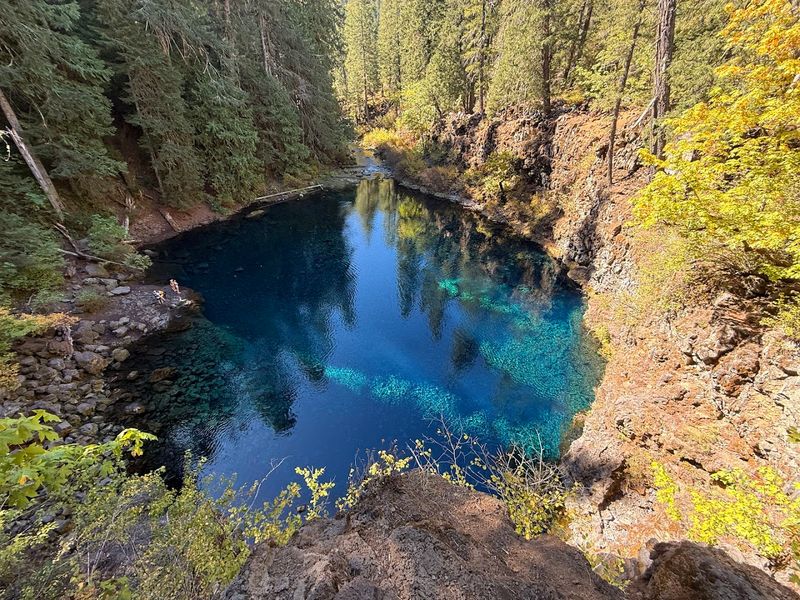 Tamolitch Blue Pool On The McKenzie River Trail Tamolitch Blue Pool On The McKenzie River Trail