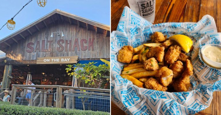 Tampa, Florida’s Best Seafood Restaurants Everyone Is Talking About