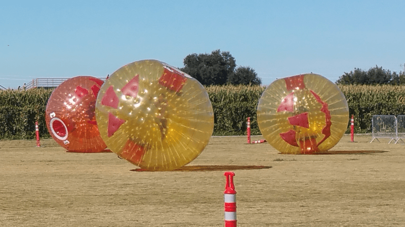 Dell'Osso Family Farm Harvest Café