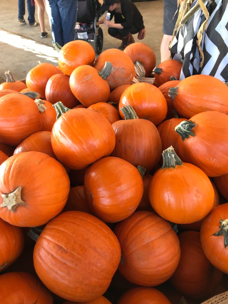 Tanaka Farms Tanaka Farms