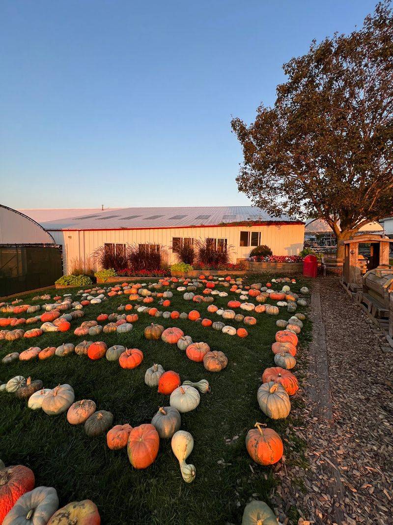 Tanners Orchard, Speer, IL