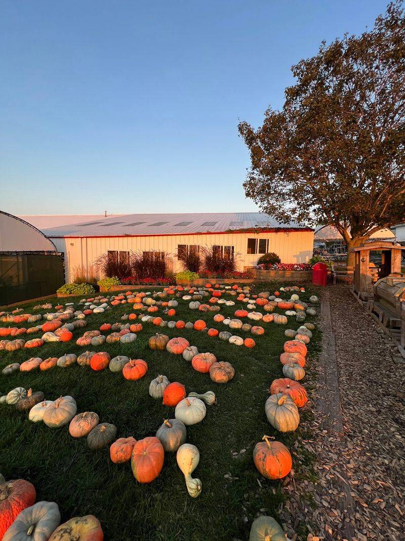 Tanners Orchard, Speer, IL Tanners Orchard, Speer, IL