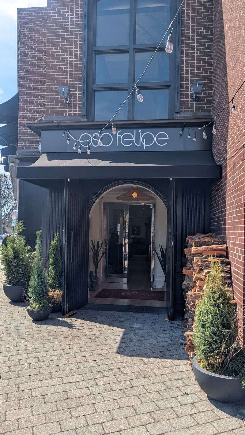 Oso Felipe — Montclair, New Jersey