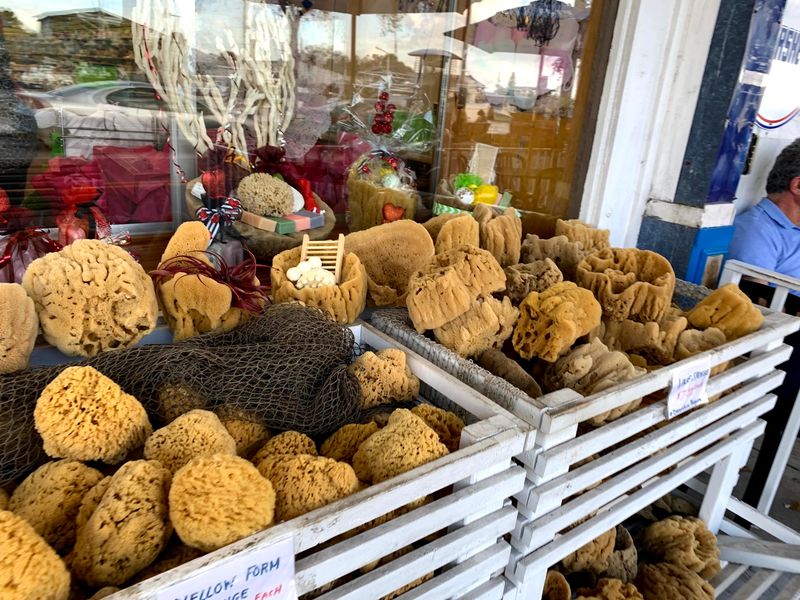 Tarpon Springs Sponge Docks