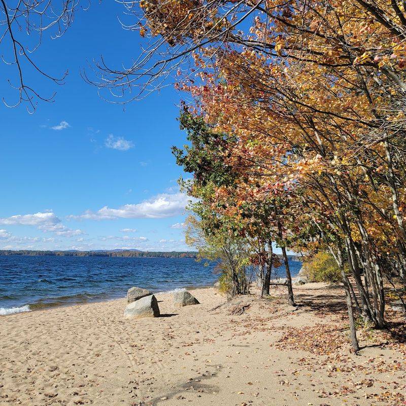Tassel Top Park, Raymond Tassel Top Park, Raymond