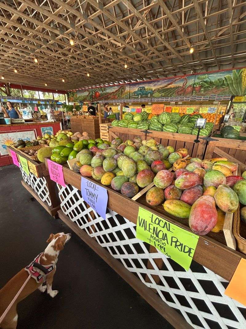 Service Style And Staff Interaction