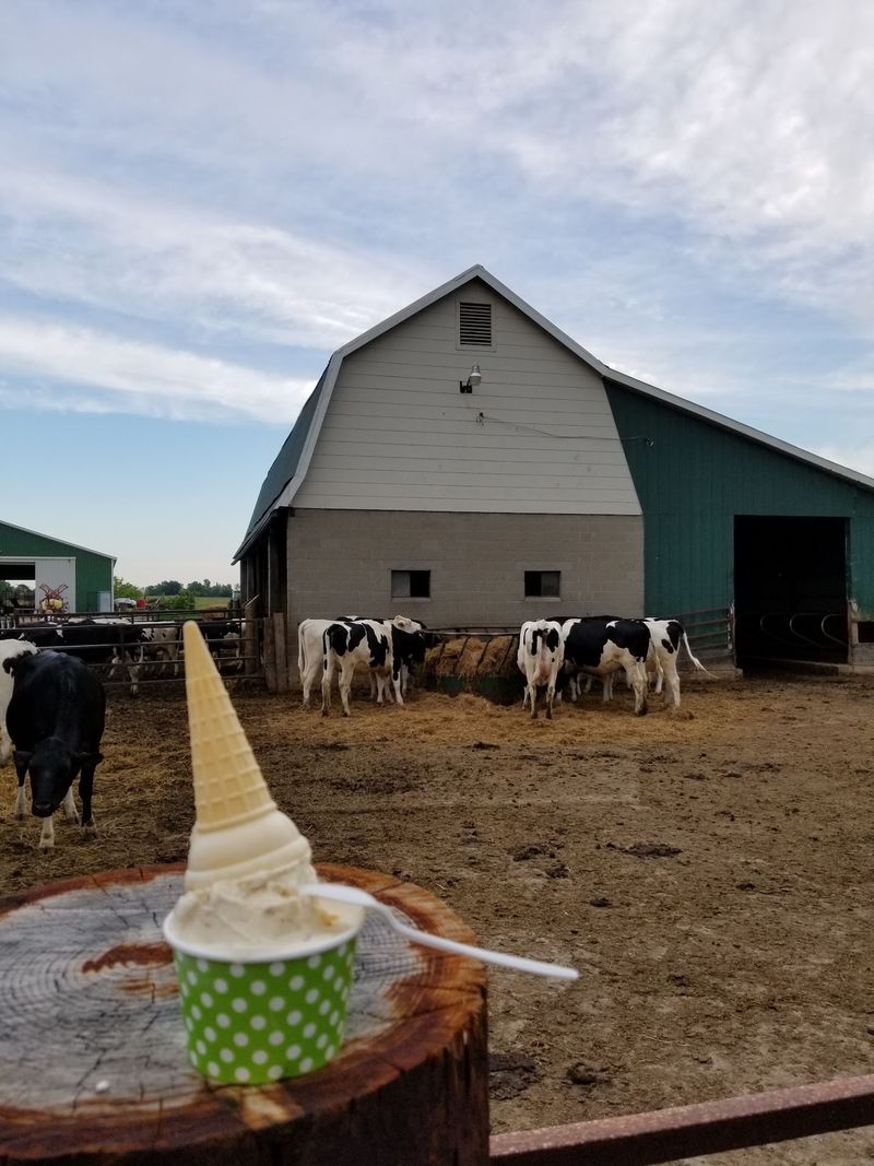 Taste The Farm-To-Cone Difference