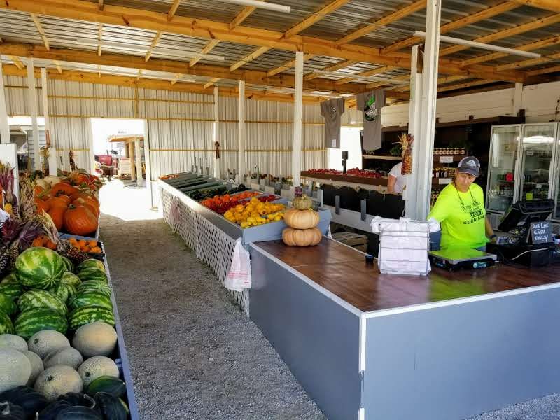 Tasty Treats, Vendors, And The Farmers Market