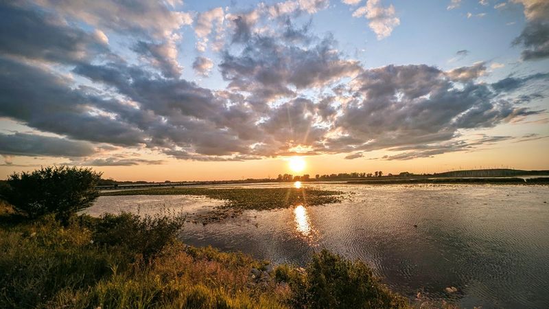 Pointe Mouillee State Game Area