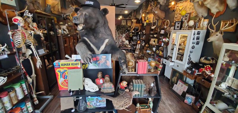 Staff Who Know Their Stuff Inside and Out