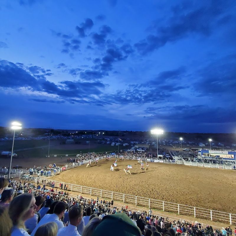 Taylor Independence Day Celebration And Night Rodeo