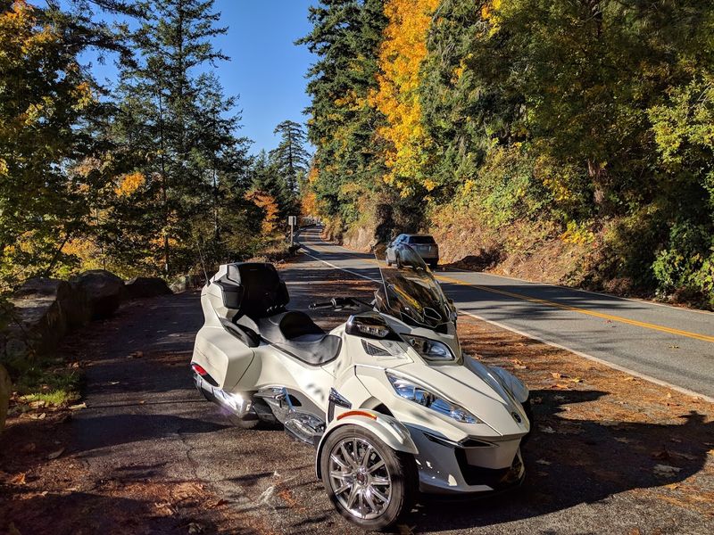 Hiking Trails Through Old-Growth Forest