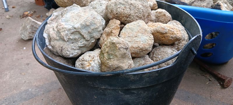 Taylors geodes, Hamilton, IL