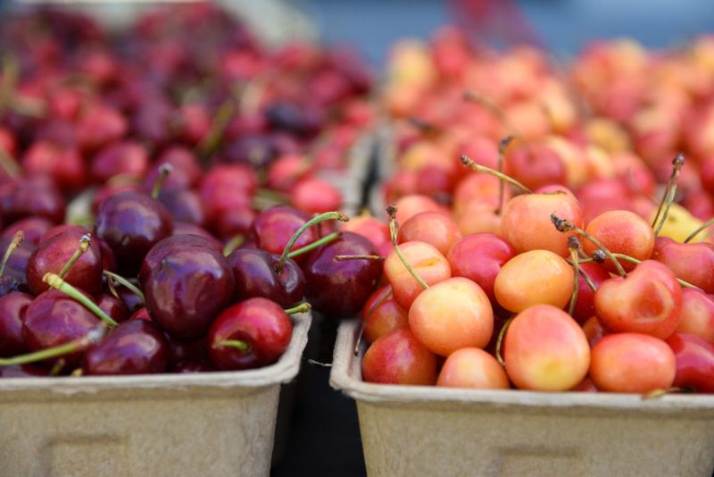 Stone Fruit Paradise