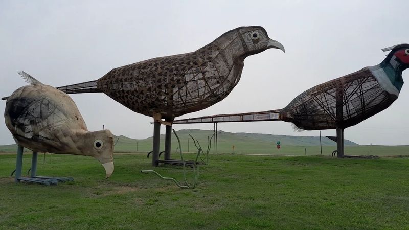 A Nod To North Dakota's Wildlife