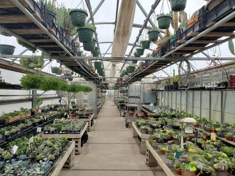 Ted's Greenhouse, Tinley Park Ted's Greenhouse, Tinley Park