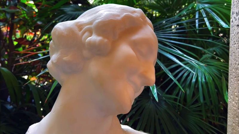 Wildlife Encounters With Peacocks And Iguanas