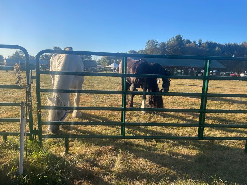 Ten Acres Of Living History Grow Right Next Door